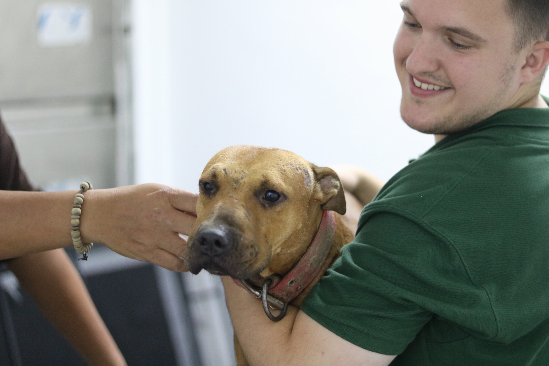 JacobLloydHoldingRescuedFightingDog